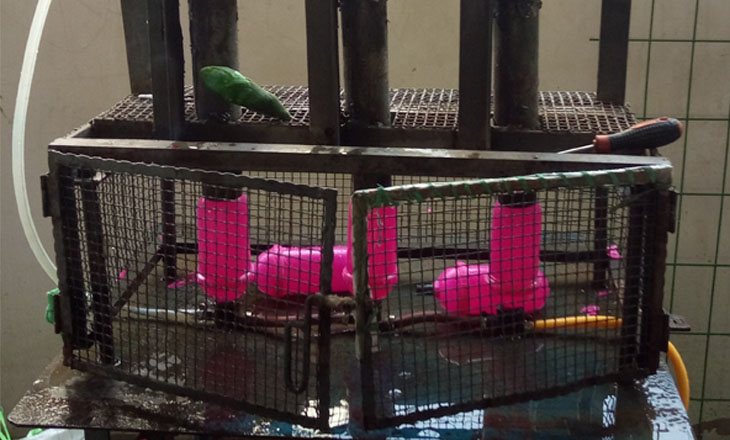 車間設備展示&mdash;&mdash;氣室試水測試機器